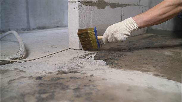 24/7 Emergency Crawl Space Encapsulation experts in Sunfield, MI